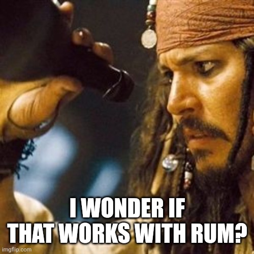 Why is the Rum Always Gone? | I WONDER IF THAT WORKS WITH RUM? | image tagged in why is the rum always gone | made w/ Imgflip meme maker