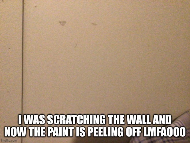 ;-; | I WAS SCRATCHING THE WALL AND NOW THE PAINT IS PEELING OFF LMFAOOO | made w/ Imgflip meme maker