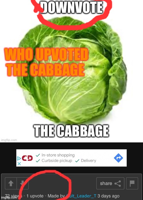 It clearly says Downvote the Cabbage. Whoever upvoted my cabbage needs to see this meme so I am begging for upvoted | image tagged in upvote begging,i'm sorry | made w/ Imgflip meme maker