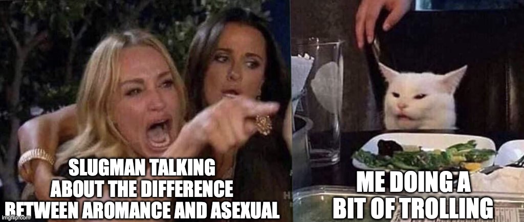 funne | SLUGMAN TALKING ABOUT THE DIFFERENCE BETWEEN AROMANCE AND ASEXUAL; ME DOING A BIT OF TROLLING | image tagged in woman yelling at cat | made w/ Imgflip meme maker
