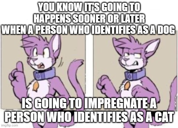 Furry hold on | YOU KNOW IT'S GOING TO HAPPENS SOONER OR LATER
WHEN A PERSON WHO IDENTIFIES AS A DOG; IS GOING TO IMPREGNATE A PERSON WHO IDENTIFIES AS A CAT | image tagged in furry hold on | made w/ Imgflip meme maker