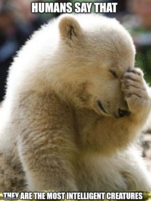 Facepalm Bear | HUMANS SAY THAT; THEY ARE THE MOST INTELLIGENT CREATURES | image tagged in memes,facepalm bear | made w/ Imgflip meme maker