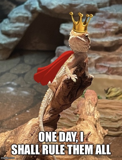 One day, I shall rule them all | ONE DAY, I SHALL RULE THEM ALL | image tagged in king lizard | made w/ Imgflip meme maker
