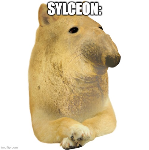 Coach Henry (Dogelore) | SYLCEON: | image tagged in coach henry dogelore | made w/ Imgflip meme maker