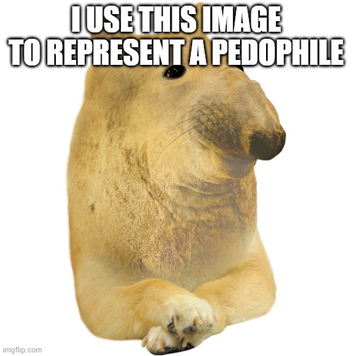 Coach Henry (Dogelore) | I USE THIS IMAGE TO REPRESENT A PEDOPHILE | image tagged in coach henry dogelore | made w/ Imgflip meme maker