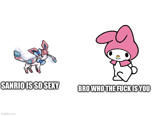 SANRIO IS SO SEXY BRO WHO THE FUCK IS YOU | made w/ Imgflip meme maker