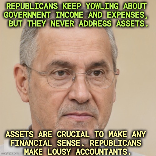 REPUBLICANS KEEP YOWLING ABOUT 
GOVERNMENT INCOME AND EXPENSES, 
BUT THEY NEVER ADDRESS ASSETS. ASSETS ARE CRUCIAL TO MAKE ANY 
FINANCIAL SENSE. REPUBLICANS 
MAKE LOUSY ACCOUNTANTS. | image tagged in government,national debt,income taxes,assets,republicans,failure | made w/ Imgflip meme maker