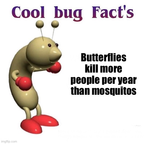 Entomology man strikes back. | Butterflies kill more people per year than mosquitos | image tagged in cool bug facts | made w/ Imgflip meme maker