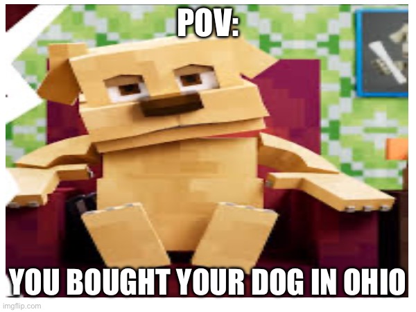 Credits for photo:Enchantedmob.fandom.com | POV:; YOU BOUGHT YOUR DOG IN OHIO | image tagged in ohio,pets | made w/ Imgflip meme maker