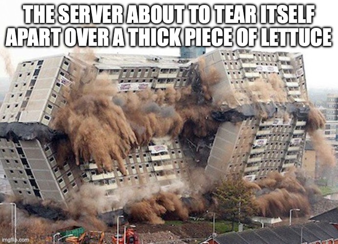 absolute state of MSMG | THE SERVER ABOUT TO TEAR ITSELF APART OVER A THICK PIECE OF LETTUCE | image tagged in building collapses | made w/ Imgflip meme maker