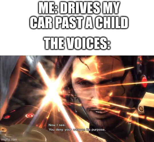 title not found |  ME: DRIVES MY CAR PAST A CHILD; THE VOICES: | image tagged in now i see you deny your weapon it's purpose | made w/ Imgflip meme maker