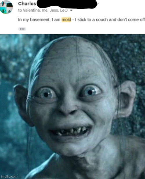 image tagged in memes,gollum | made w/ Imgflip meme maker