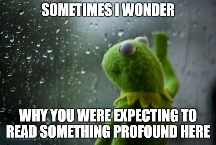 kermit window | SOMETIMES I WONDER; WHY YOU WERE EXPECTING TO READ SOMETHING PROFOUND HERE | image tagged in kermit window | made w/ Imgflip meme maker