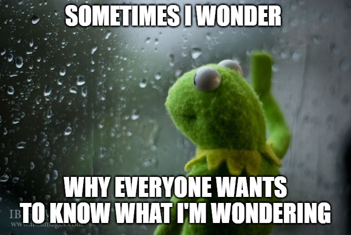 kermit window | SOMETIMES I WONDER; WHY EVERYONE WANTS TO KNOW WHAT I'M WONDERING | image tagged in kermit window | made w/ Imgflip meme maker