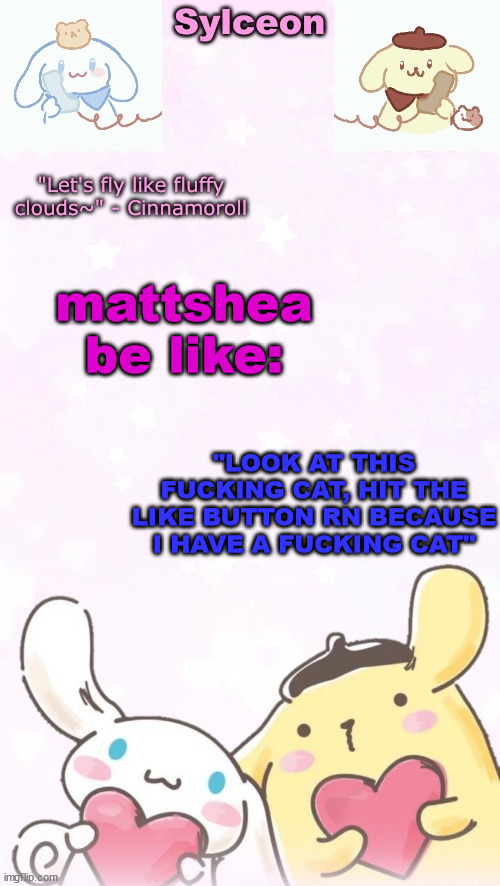 sylc's pom pom purin and cinnamoroll temp (thx yachi) | mattshea be like:; "LOOK AT THIS FUCKING CAT, HIT THE LIKE BUTTON RN BECAUSE I HAVE A FUCKING CAT" | image tagged in sylc's pom pom purin and cinnamoroll temp thx yachi | made w/ Imgflip meme maker