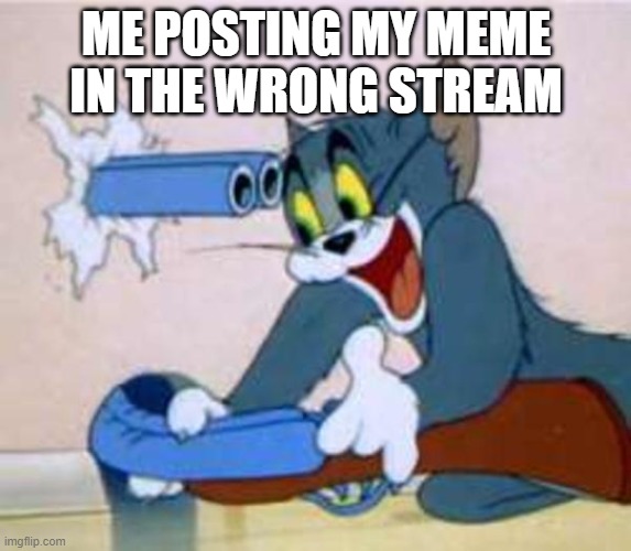 tom the cat shooting himself  |  ME POSTING MY MEME IN THE WRONG STREAM | image tagged in tom the cat shooting himself | made w/ Imgflip meme maker