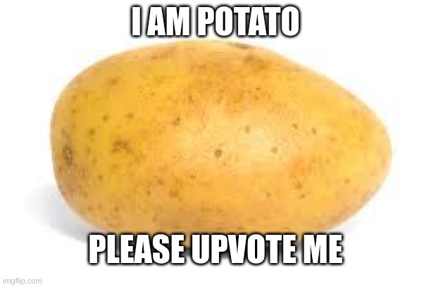 seeing how well this vegetable upvote begging thing works | I AM POTATO; PLEASE UPVOTE ME | image tagged in potato | made w/ Imgflip meme maker