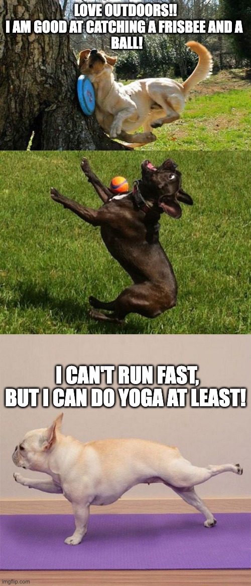 OTS Meme | LOVE OUTDOORS!! I AM GOOD AT CATCHING A FRISBEE AND A 
 BALL! I CAN'T RUN FAST, BUT I CAN DO YOGA AT LEAST! | image tagged in dog sports | made w/ Imgflip meme maker