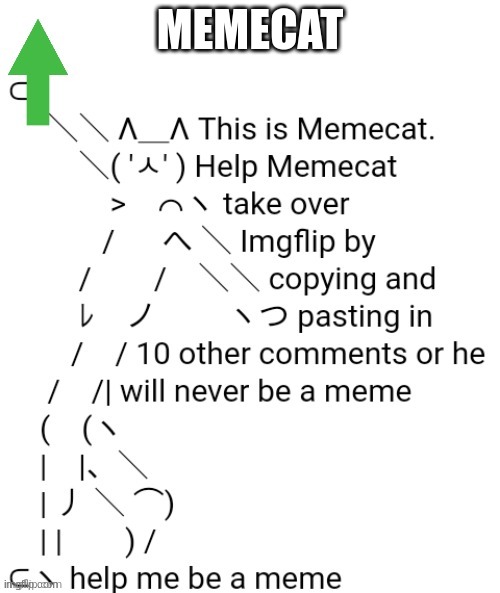 ima try my hand at this. | MEMECAT | image tagged in memecat | made w/ Imgflip meme maker