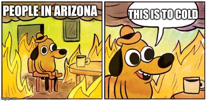 only for joke purposes | THIS IS TO COLD; PEOPLE IN ARIZONA | image tagged in this is fine blank | made w/ Imgflip meme maker