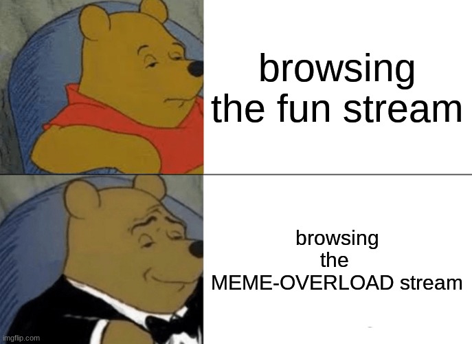 Tuxedo Winnie The Pooh Meme | browsing the fun stream; browsing the  MEME-OVERLOAD stream | image tagged in memes,tuxedo winnie the pooh | made w/ Imgflip meme maker