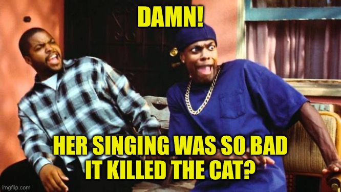 Ice Cube Damn | DAMN! HER SINGING WAS SO BAD
IT KILLED THE CAT? | image tagged in ice cube damn | made w/ Imgflip meme maker
