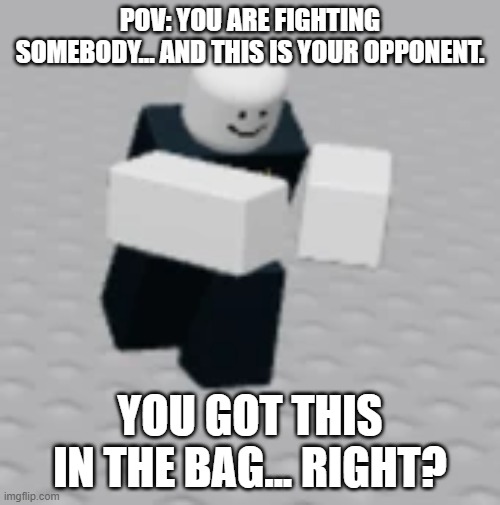 First Distraction Dummy Prompt (RULES IN COMMENTS) | POV: YOU ARE FIGHTING SOMEBODY... AND THIS IS YOUR OPPONENT. YOU GOT THIS IN THE BAG... RIGHT? | image tagged in roleplaying | made w/ Imgflip meme maker