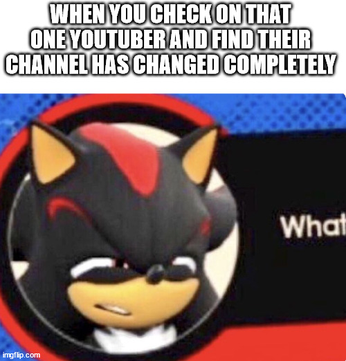 wHaT | WHEN YOU CHECK ON THAT ONE YOUTUBER AND FIND THEIR CHANNEL HAS CHANGED COMPLETELY | image tagged in what,sonic the hedgehog,shadow the hedgehog | made w/ Imgflip meme maker
