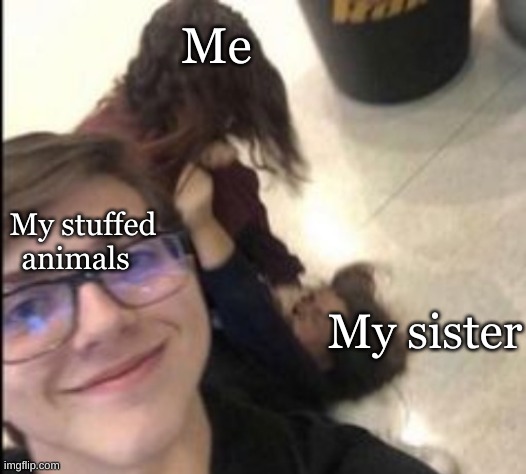 fight | Me; My stuffed animals; My sister | image tagged in fight | made w/ Imgflip meme maker
