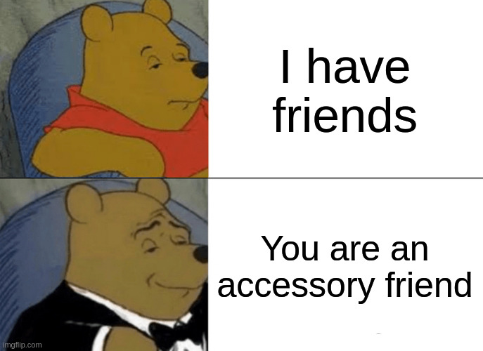 accesory friend | I have friends; You are an accessory friend | image tagged in memes,tuxedo winnie the pooh | made w/ Imgflip meme maker