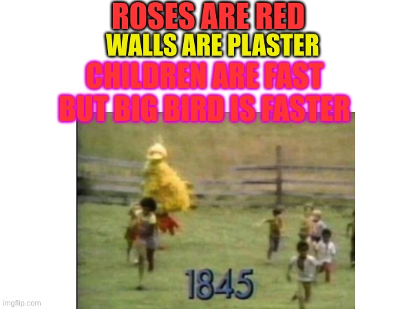 Not the year...  its the streak | ROSES ARE RED; WALLS ARE PLASTER; CHILDREN ARE FAST BUT BIG BIRD IS FASTER | made w/ Imgflip meme maker