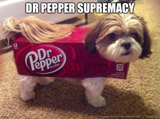 DR PEPPER SUPREMACY | image tagged in dr pepper costume | made w/ Imgflip meme maker