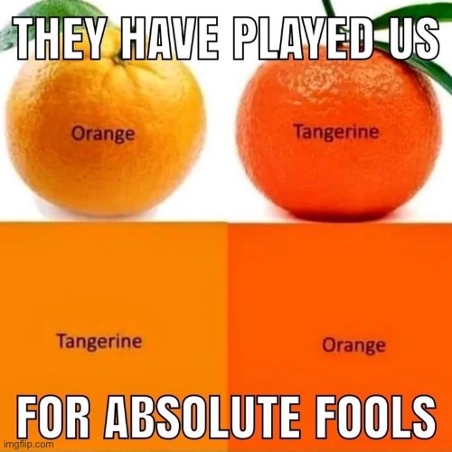image tagged in orange,tangerine | made w/ Imgflip meme maker