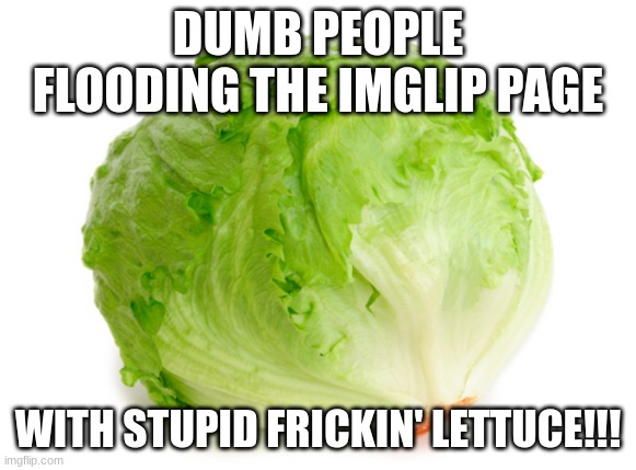 Lettuce  | DUMB PEOPLE FLOODING THE IMGLIP PAGE WITH STUPID FRICKIN' LETTUCE!!! | image tagged in lettuce | made w/ Imgflip meme maker