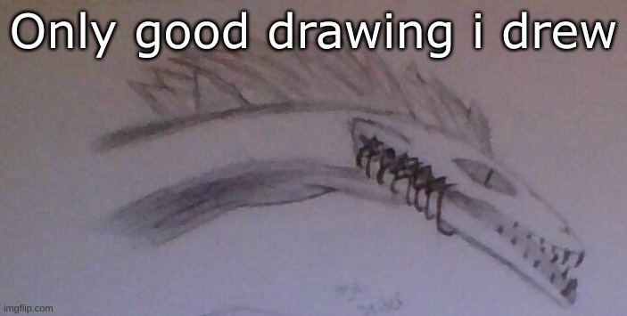 Only good drawing i drew | made w/ Imgflip meme maker