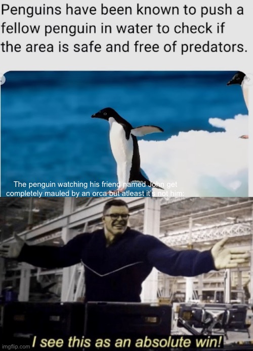 The penguin watching his friend named John get completely mauled by an orca but atleast it’s not him: | image tagged in i see this as an absolute win | made w/ Imgflip meme maker