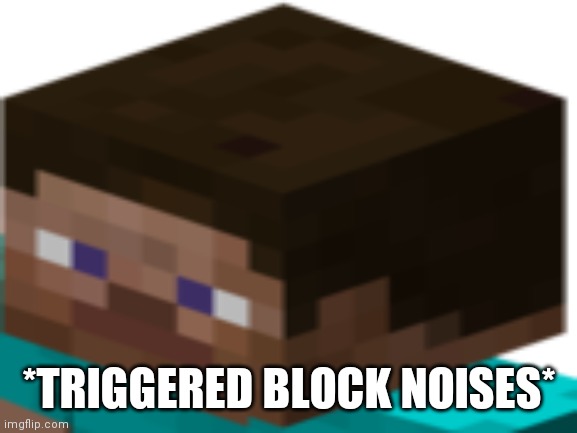 *TRIGGERED BLOCK NOISES* | made w/ Imgflip meme maker