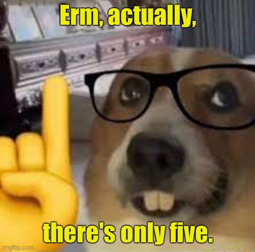nerd dog | Erm, actually, there's only five. | image tagged in nerd dog | made w/ Imgflip meme maker
