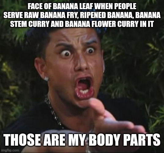 DJ Pauly D Meme | FACE OF BANANA LEAF WHEN PEOPLE SERVE RAW BANANA FRY, RIPENED BANANA, BANANA STEM CURRY AND BANANA FLOWER CURRY IN IT; THOSE ARE MY BODY PARTS | image tagged in memes,dj pauly d | made w/ Imgflip meme maker