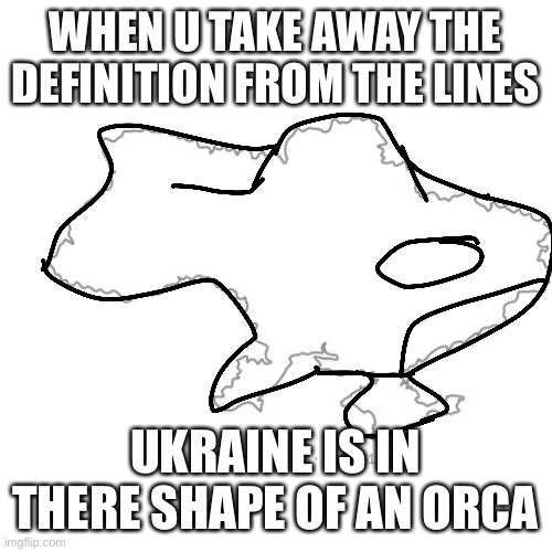 WHEN U TAKE AWAY THE DEFINITION FROM THE LINES; UKRAINE IS IN THERE SHAPE OF AN ORCA | image tagged in ukraine | made w/ Imgflip meme maker