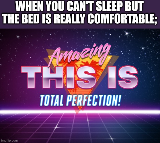 Amazing, This is total Perfection!! | WHEN YOU CAN'T SLEEP BUT THE BED IS REALLY COMFORTABLE; | image tagged in amazing this is total perfection | made w/ Imgflip meme maker