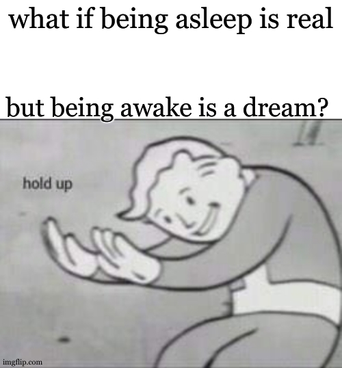 Fallout hold up with space on the top | what if being asleep is real; but being awake is a dream? | image tagged in fallout hold up with space on the top | made w/ Imgflip meme maker