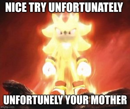 Super Shadow | NICE TRY UNFORTUNATELY UNFORTUNATELY YOUR MOTHER | image tagged in super shadow | made w/ Imgflip meme maker