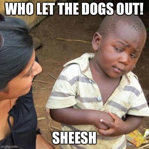 Third World Skeptical Kid | WHO LET THE DOGS OUT! SHEESH | image tagged in memes,third world skeptical kid | made w/ Imgflip meme maker