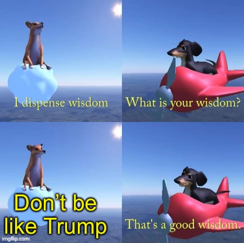 Truth | Don’t be like Trump | image tagged in wisdom dog,trump,sandwich | made w/ Imgflip meme maker