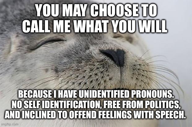 Satisfied Seal | YOU MAY CHOOSE TO CALL ME WHAT YOU WILL; BECAUSE I HAVE UNIDENTIFIED PRONOUNS. NO SELF IDENTIFICATION, FREE FROM POLITICS, AND INCLINED TO OFFEND FEELINGS WITH SPEECH. | image tagged in memes,satisfied seal | made w/ Imgflip meme maker