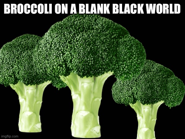  BROCCOLI ON A BLANK BLACK WORLD | made w/ Imgflip meme maker