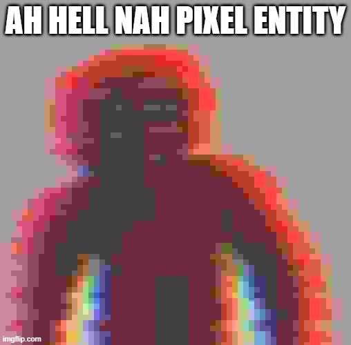 Entity | AH HELL NAH PIXEL ENTITY | image tagged in entity | made w/ Imgflip meme maker