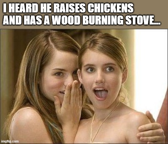 you know wood burning stoves are going to be banned next. It's coming | I HEARD HE RAISES CHICKENS AND HAS A WOOD BURNING STOVE... | image tagged in i heard he,girls gossiping,wood,burning,democrats | made w/ Imgflip meme maker