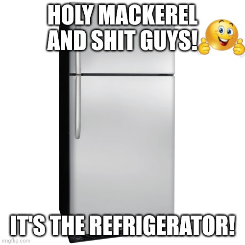 Fridge | HOLY MACKEREL AND SHIT GUYS! IT'S THE REFRIGERATOR! | image tagged in fridge | made w/ Imgflip meme maker